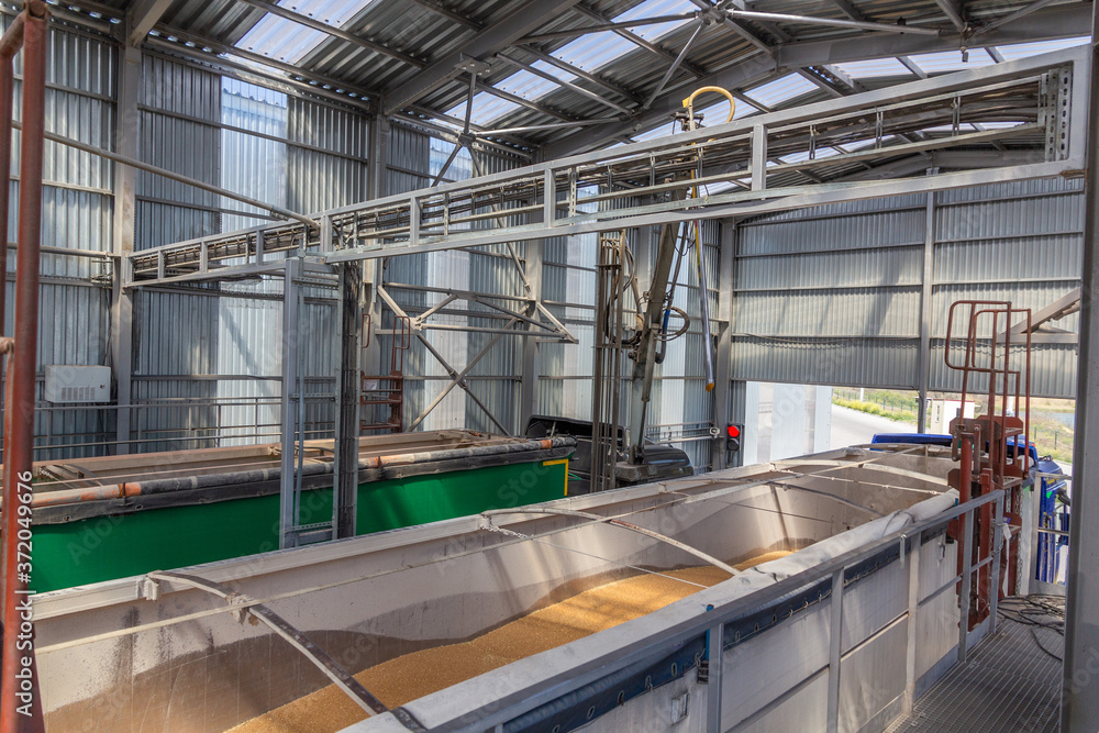 Grain sampling process. View of a station for automatic sampling of