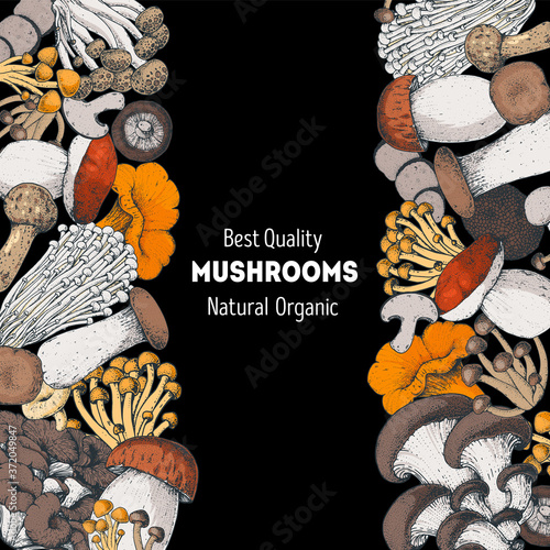 Edible mushrooms hand drawn. Vector illustrations collection. Hand drawn food. Vintage mushrooms. Organic food. Forest mushrooms. Vintage mushrooms background. Healthy food illustration. Colorful set.