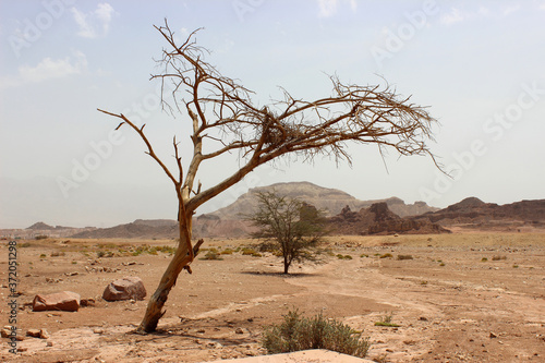 Timna National Park