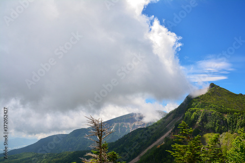長野県茅野市の八ヶ岳に含まれる名峰のひとつ、天狗岳の頂上から、まるで火山が噴火しているかのように見える、白い夏の雲。青い空。新緑の山肌。高地特有の針葉樹。