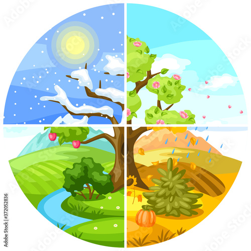 Four seasons landscape. Illustration with trees, mountains and hills in winter, spring, summer, autumn.