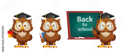 Cute wise owl. Funny owl, back to school concept