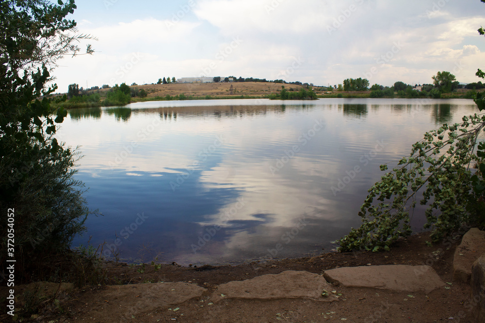 reflection of trees in water
