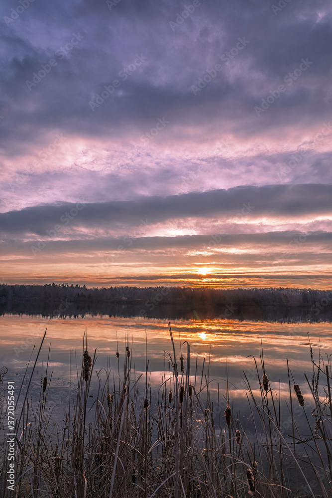 Obraz premium Gathering Light