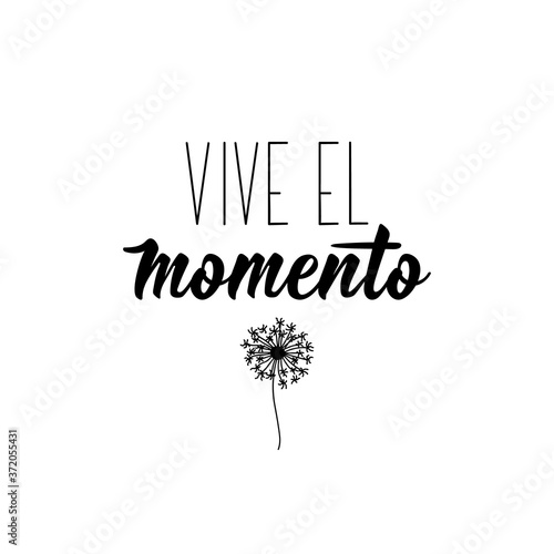 Live the moment - in Spanish. Lettering. Ink illustration. Modern brush calligraphy.
