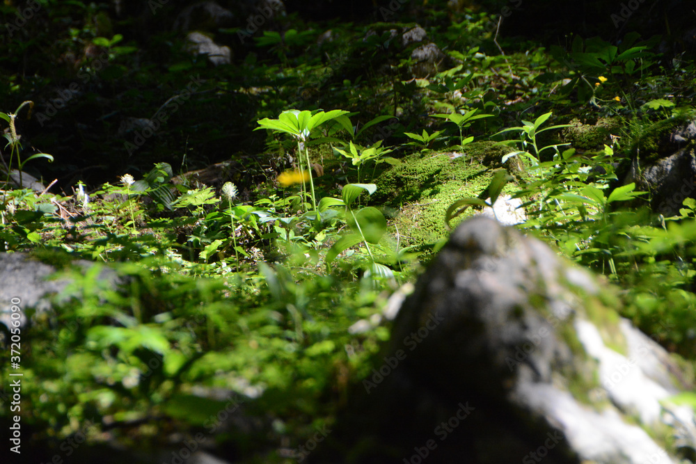 Styrian Mountains - nice view of Styrian Mountains - nice view of