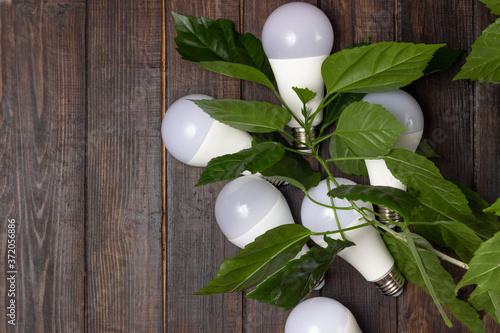 Energy saving light bulbs in green leaves. The concept of environmental protection and ecology.