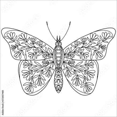 butterfly drawn for coloring on a white background with leaves and flowers, vector