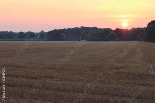 früh Morgens im Münsterland