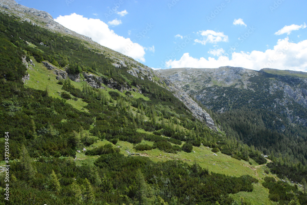 hike in the Styrian mountains