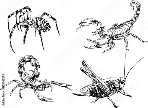 vector drawings sketches different insects bugs Scorpions spiders drawn in ink by hand , objects with no background