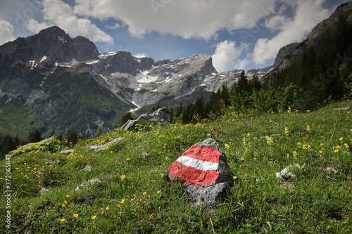 Wallpaper Mural Austrian flag in the mountain Torontodigital.ca