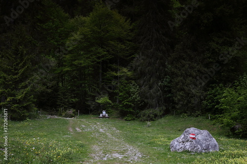 Wallpaper Mural Werfenweng in Salzburgerland Torontodigital.ca