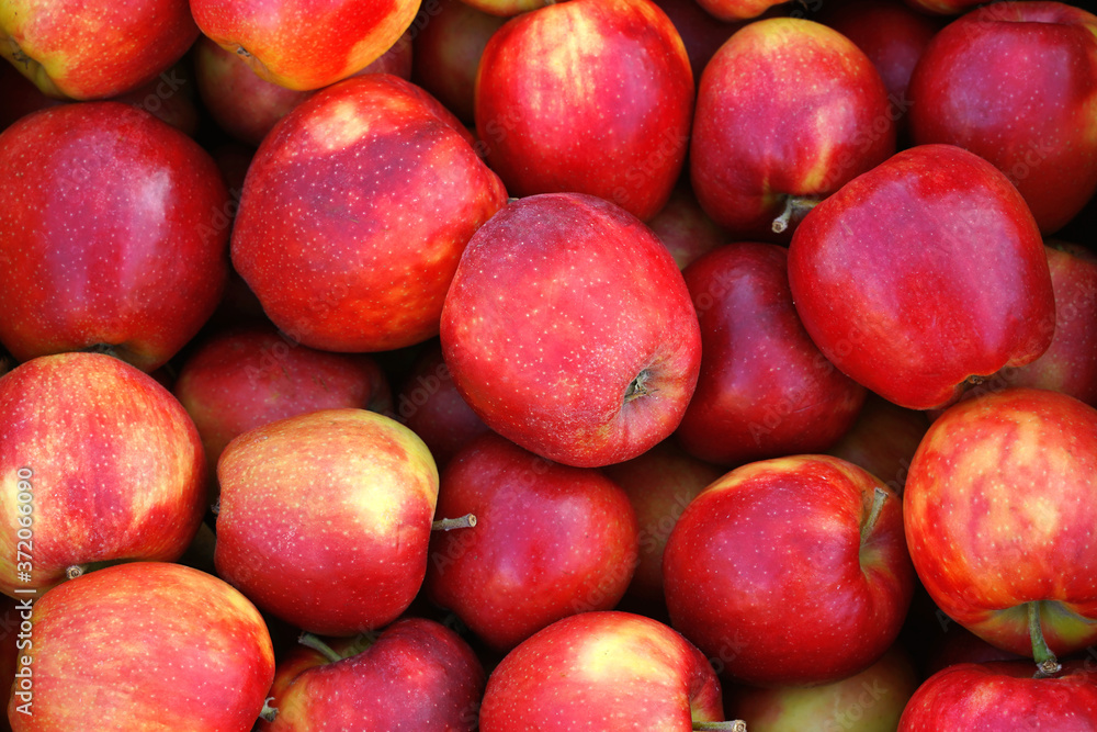 fresh ripe juicy red apples background fresh ripe juicy red apples background
