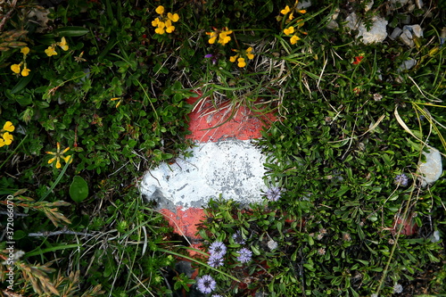 Wallpaper Mural Austrian flag in the mountain Torontodigital.ca