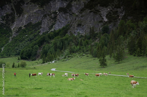 Wallpaper Mural Werfenweng in Salzburgerland Torontodigital.ca