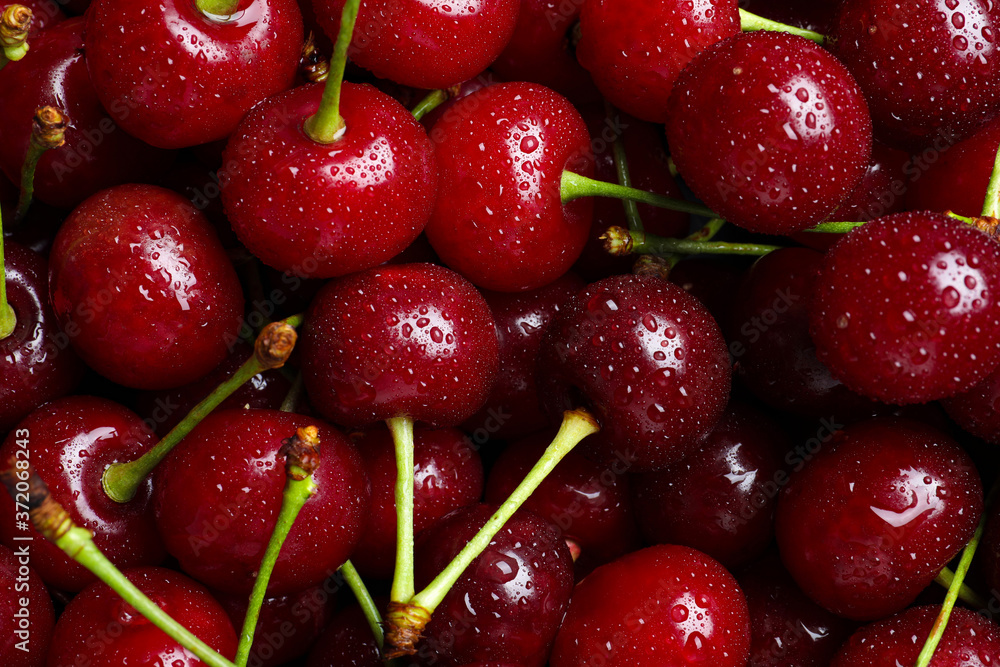 Sweet red cherries with water drops as background, closeup Sweet red cherries with water drops as background, closeup