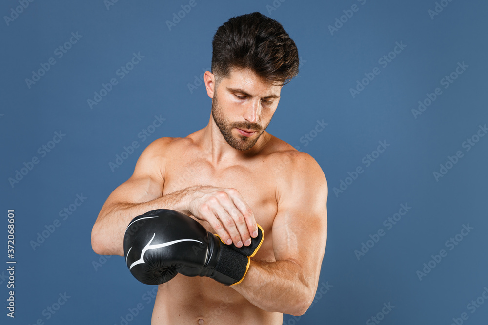 Handsome young fitness sporty strong guy bare-chested muscular sportsman boxer isolated on blue wall background studio portrait. Workout sport motivation lifestyle concept. Putting on boxing gloves. Handsome young fitness sporty strong guy bare-chested muscular sportsman boxer isolated on blue wall background studio portrait. Workout sport motivation lifestyle concept. Putting on boxing gloves.