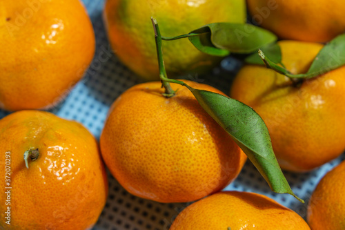 close up photo of tangerines and leaves