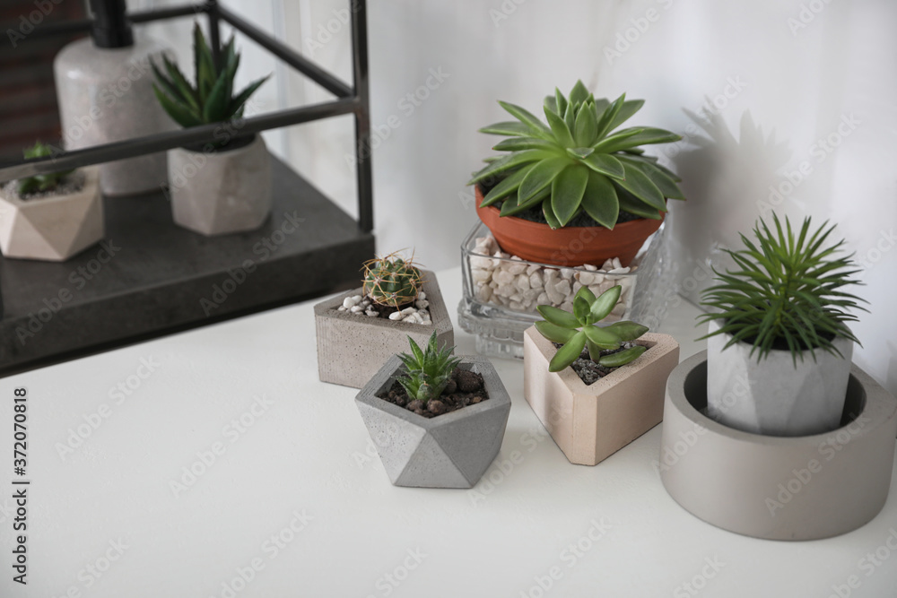 Different succulent plants in stylish flowerpots on white table indoors. Interior design