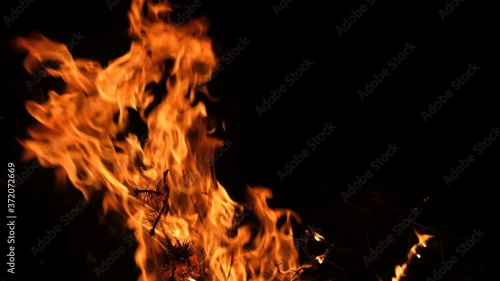 The flames of wood fire and the gorgeous background at the campsite The flames of wood fire and the gorgeous background at the campsite