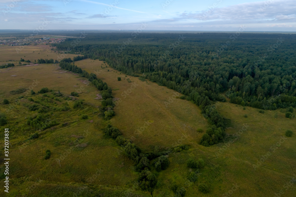 Aerial top view forest tree, Rainforest ecosystem and healthy environment concept and background, Texture of green tree forest view from above Aerial top view forest tree, Rainforest ecosystem and healthy environment concept and background, Texture of green tree forest view from above