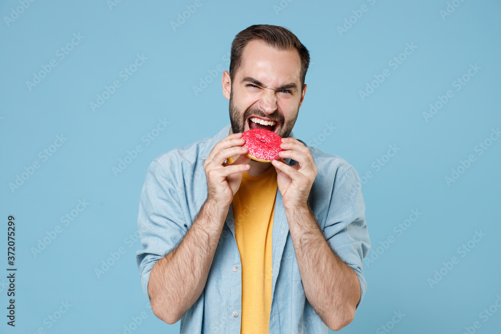 Cheerful crazy young bearded man guy 20s wearing casual clothes posing holding in hands biting eating pink donut looking camera isolated on pastel blue color wall background studio portrait. Cheerful crazy young bearded man guy 20s wearing casual clothes posing holding in hands biting eating pink donut looking camera isolated on pastel blue color wall background studio portrait.