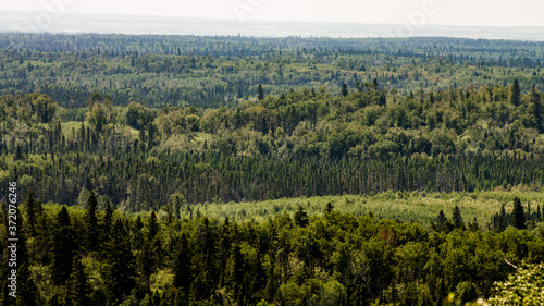 Cuadro en lienzo View of a forest from the Baldy Mountain Hiking Trail lookout in Duck Mountain P
