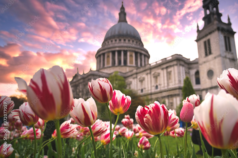 St. Paul's Cathedral in central London, UK at dusk.