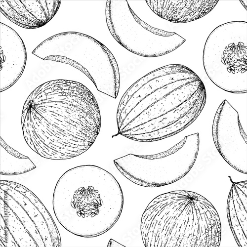 Seamless pattern with melon. Hand drawn sketch. Black and white style illustration. Vector illustration. Melon slice.