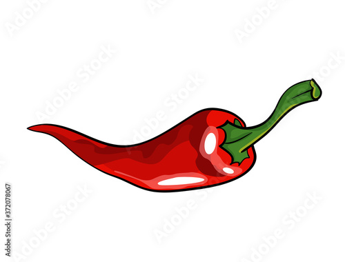 Hand drawn chili pepper. Super hot red chilli pepper. Red chilli pepper on white background. Natural healthy food. Spicy ingredient