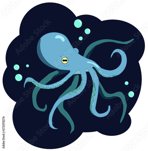 octopus
