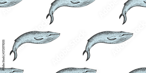 Seamless Pattern With drawing whales