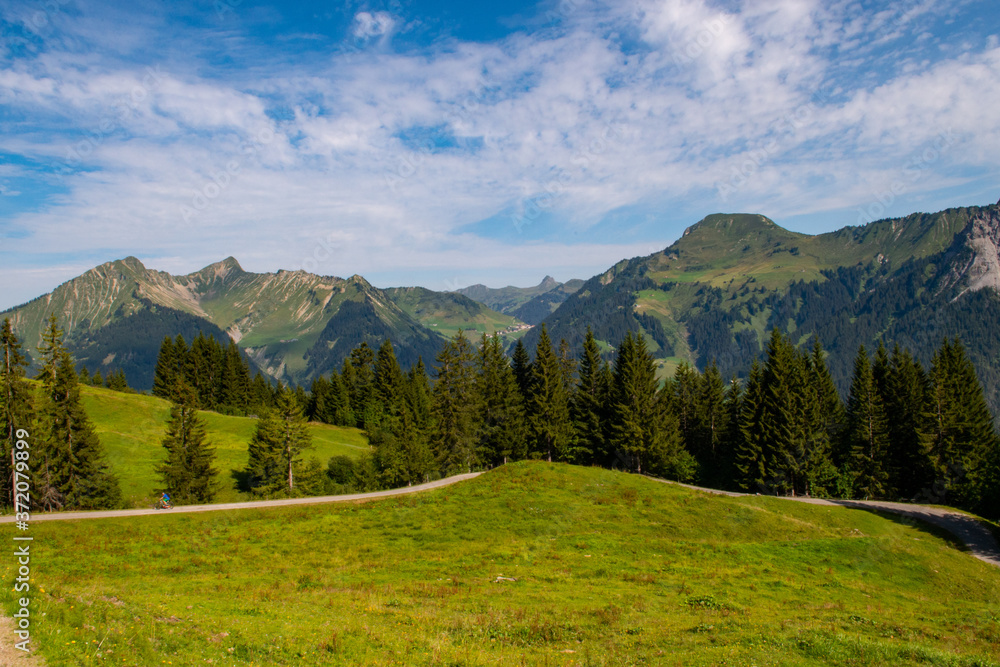 Fototapeta premium Grosses Walsertal Berge
