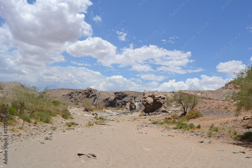 desert landscape, dry river desert landscape, dry river