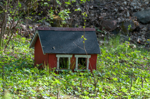 a house-shaped bird feeder lying on the grass © Tomasz