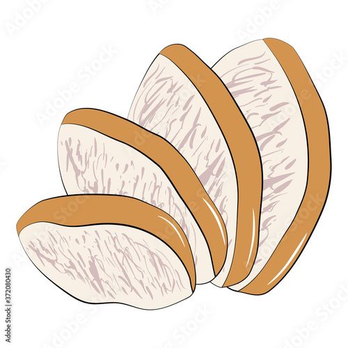 Slices of sliced fried or smoked chicken are spread out by a fan. Ingredient for ramen noodle soup. Textured vector illustration on a white background.