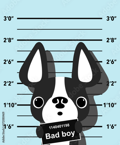 mugshot of wanted dog holding a banner. French Bulldog criminel. Vector illustration isolated on blue background.