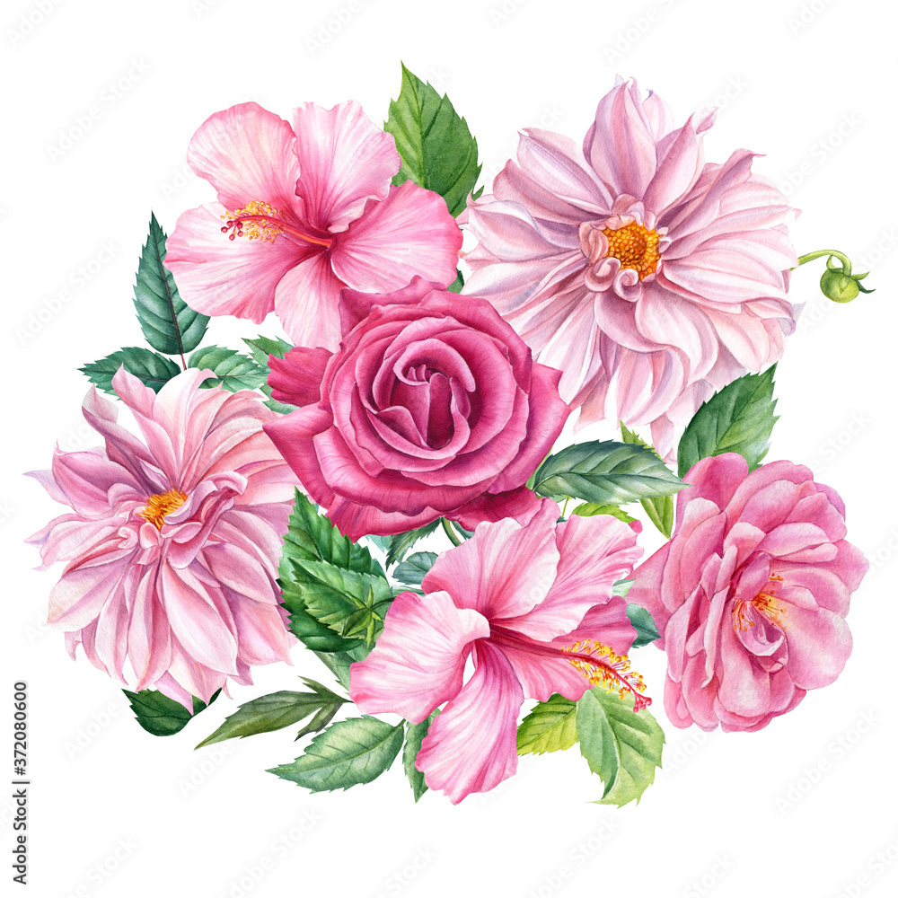 Obraz premium Bouquet of pink dahlia, hibiscus, roses flowers, isolated white background, watercolor botanical illustration