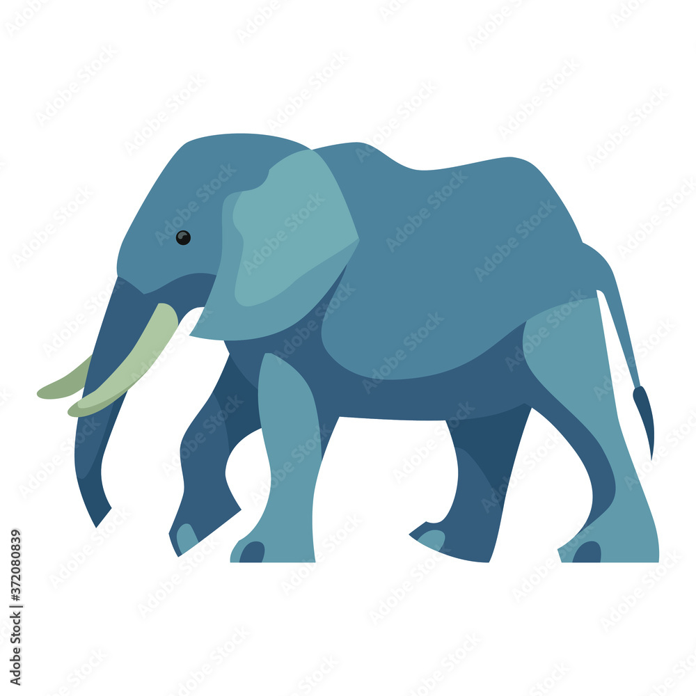 Flat illustration of walking blue grey elephant Flat illustration of walking blue grey elephant