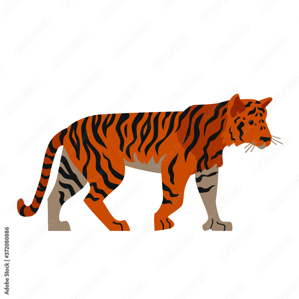 Flat illustration of standing orange tiger
