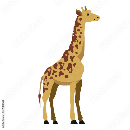 Flat illustration of standing brown giraffe