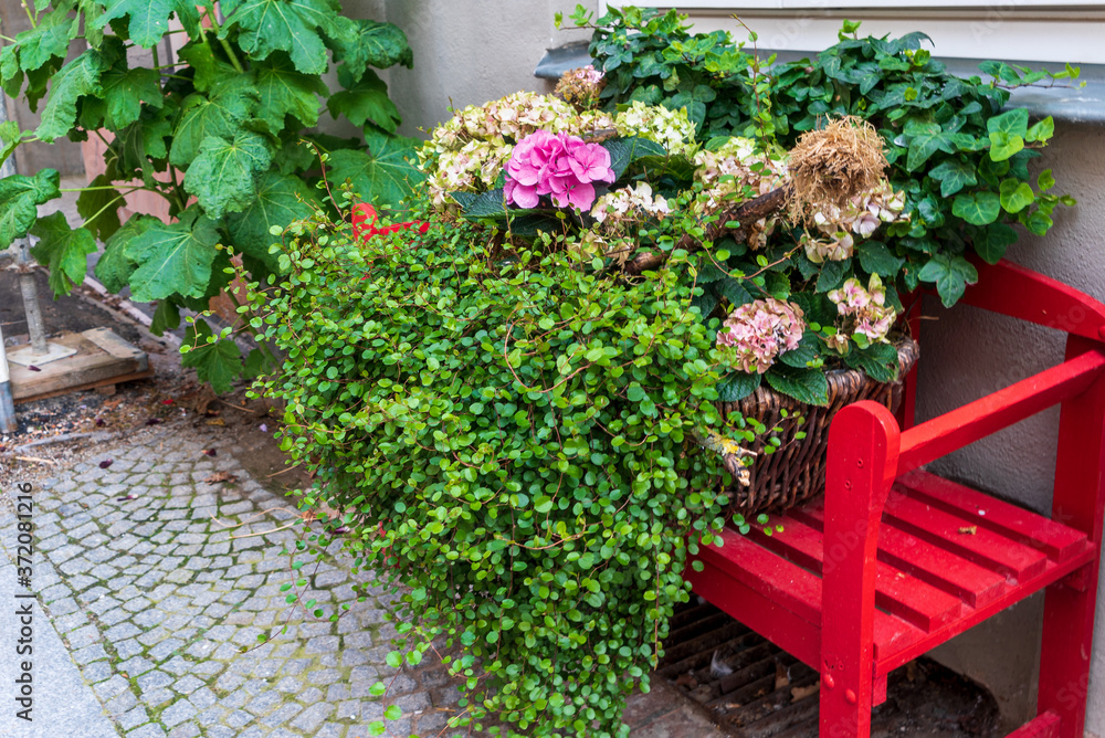 Red wooden bench with flower tubs planted with flowers in front of a house wall 