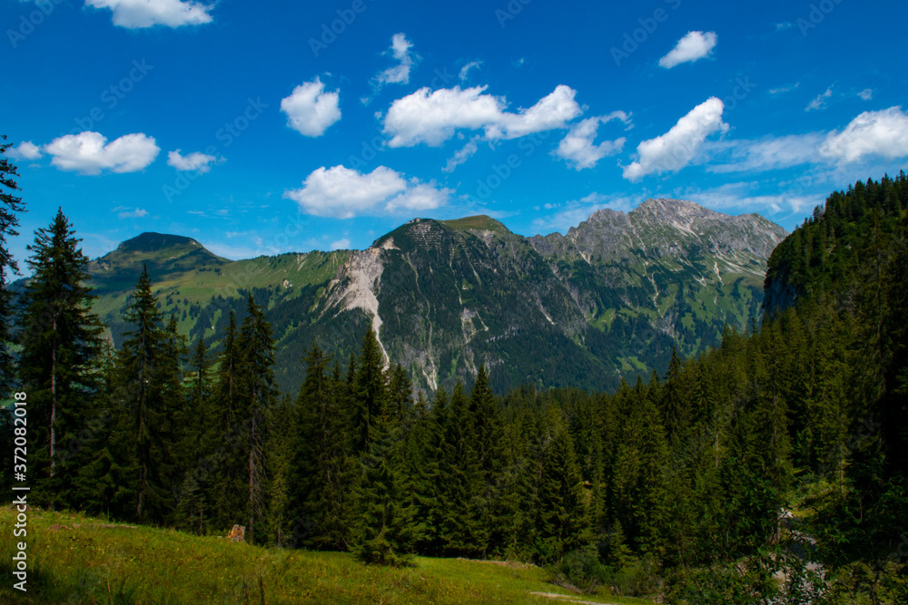 Grosses Walsertal Berge