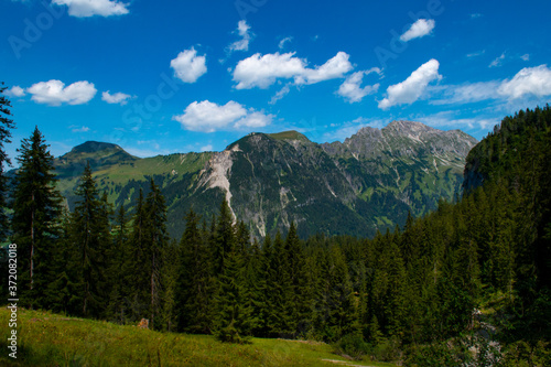 Fototapeta Naklejka Na Ścianę i Meble -  Grosses Walsertal Berge