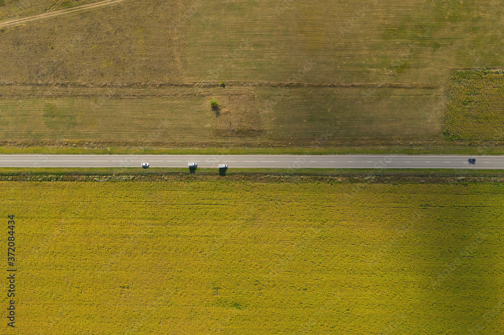 Naklejka premium Rural road between agriculture fields. Aerial view.