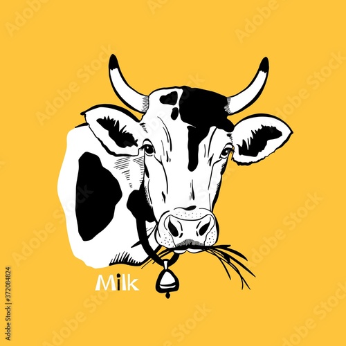 cow head vector vintage illustration for design, on a yellow background 