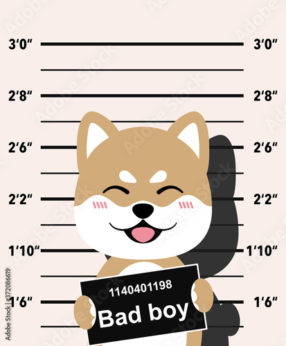 mugshot of wanted dog holding a banner. Shiba Inu criminel. Vector illustration isolated