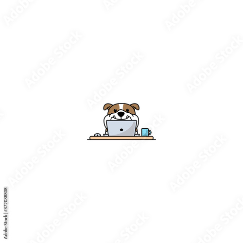 Cute english bulldog working on a laptop, vector illustration