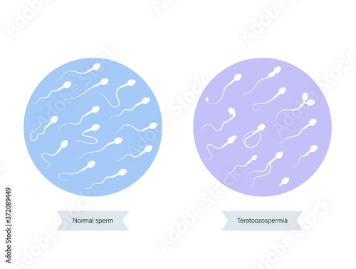 Human fertility concept